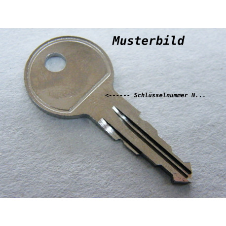Thule Schlüssel N053 N 053 Ersatzschlüssel für Heckträger Dachboxen Dachträger