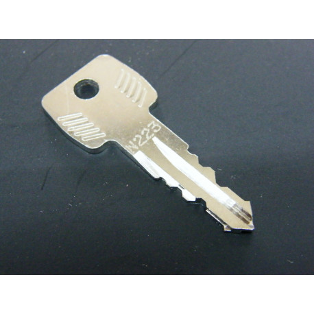 Original Thule Ersatzschlüssel N 223