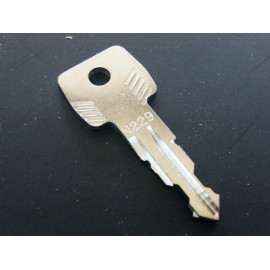 Original Thule Ersatzschlüssel N 229