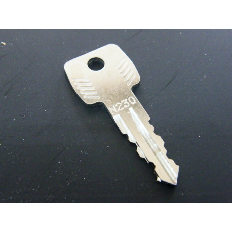 Original Thule Ersatzschlüssel N 230