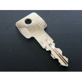 Original Thule Ersatzschlüssel N 231