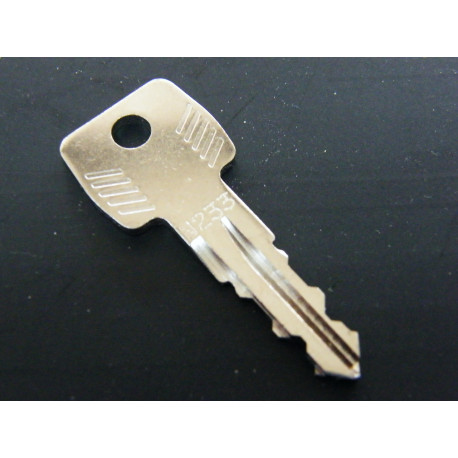 Original Thule Ersatzschlüssel N 233