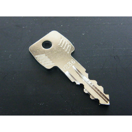 Original Thule Ersatzschlüssel N 236