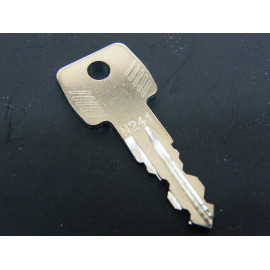 Original Thule Ersatzschlüssel N 241