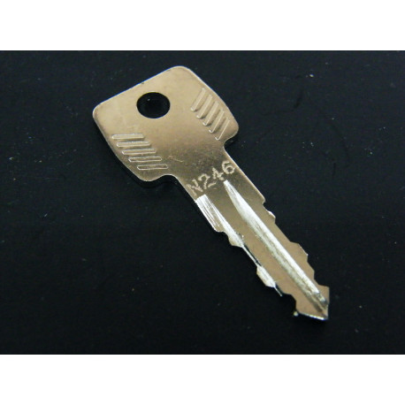 Original Thule Ersatzschlüssel N 246