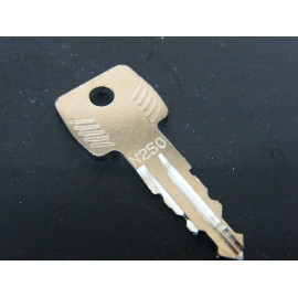 Original Thule Ersatzschlüssel N 250