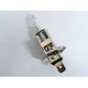 Glühlampe 12 Volt 55 Watt H1 Halogen